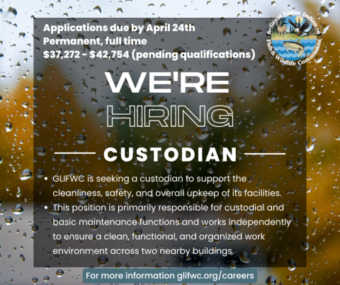 were hiring custodian