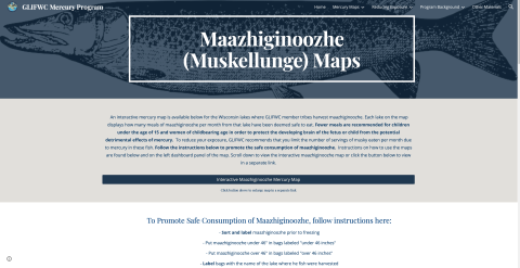 interactive mercury map