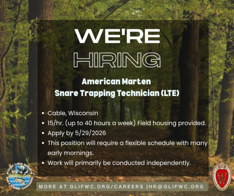 we're hiring graphic