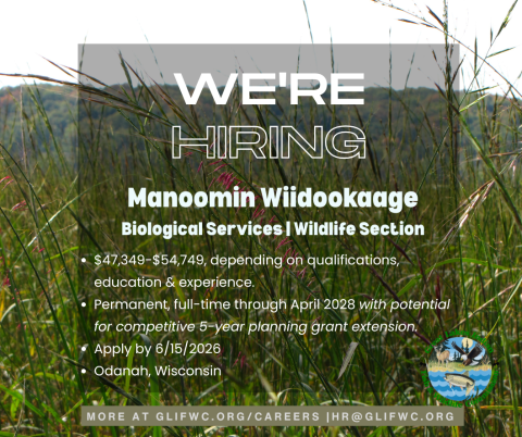 Manoomin Wiidookaage graphic