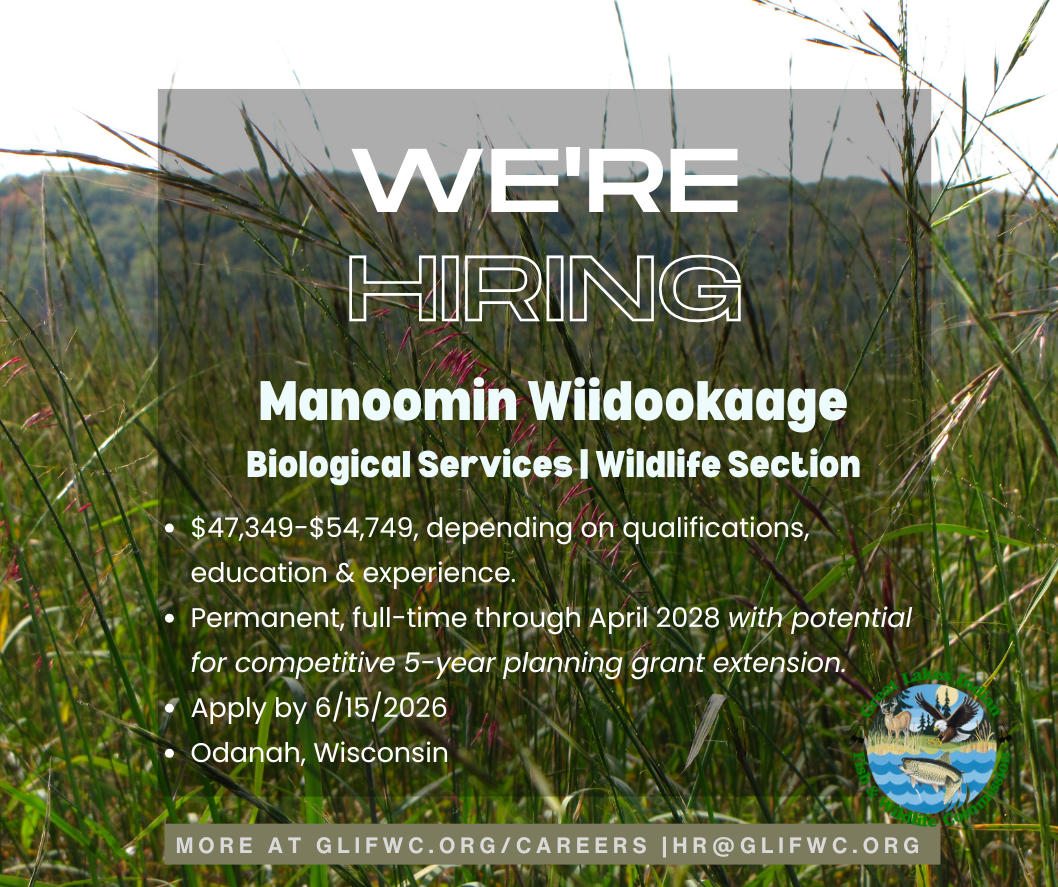 Manoomin Wiidookaage graphic