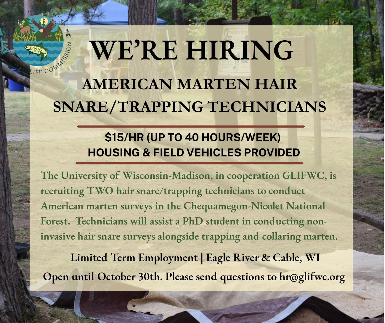 American Marten Career Graphic