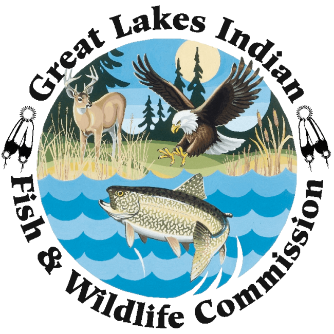 Logo - Great Lakes Indian Fish and Wildlife Commission