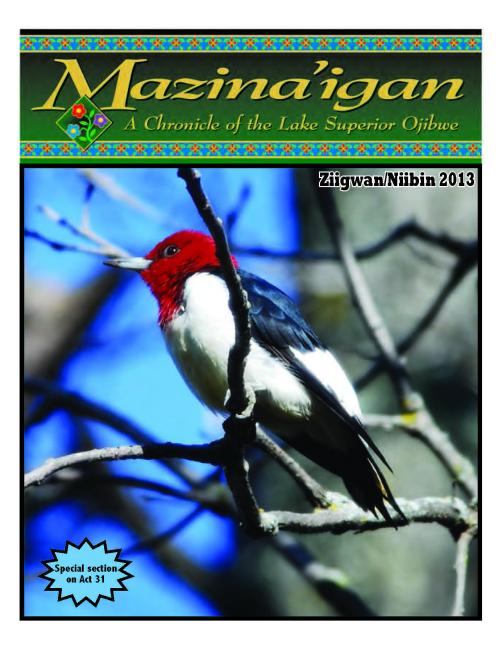 2013 Ziigwan/Niibin (Spring/Summer) Mazina'igan Cover
