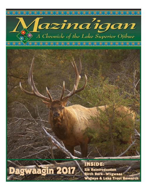 2017 Dagwaagin (Fall) Mazina'igan Cover