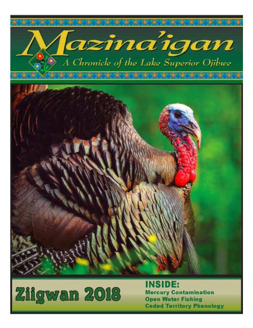 2018 Ziigwan (Spring) Mazina'igan Cover