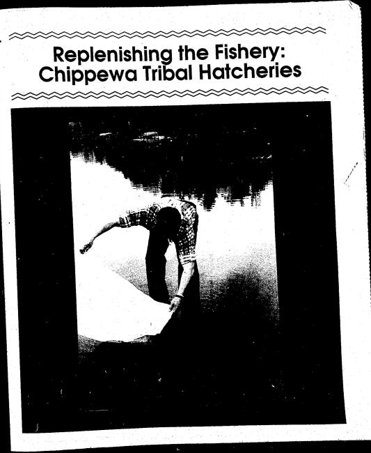 1991 June.July Supplement Mazina'igan Cover