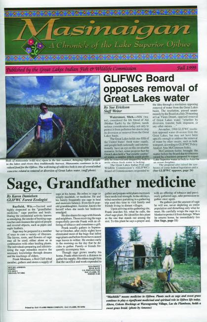 1999 Dagwaagin (Fall) Mazina'igan Cover