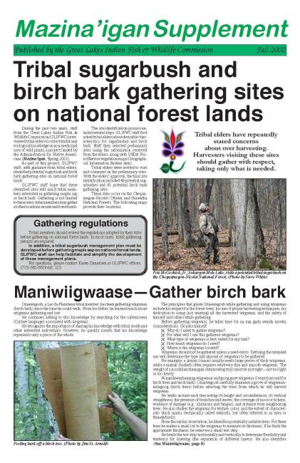 2002 Dagwaagin (Fall) Supplement Mazina'igan Cover