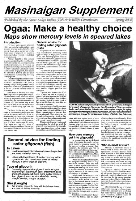 2002 Ziigwan (Spring) Supplement Mazina'igan Cover