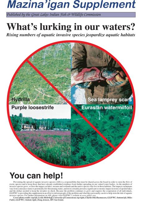 2005 Ziigwan (Spring) Supplement Mazina'igan Cover