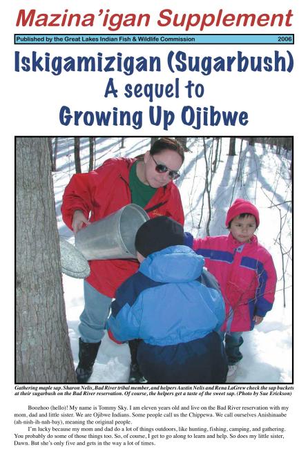 2006 Niibin (Summer) Supplement Mazina'igan Cover