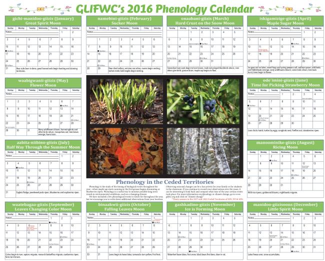2016 Phenology Calendar Cover