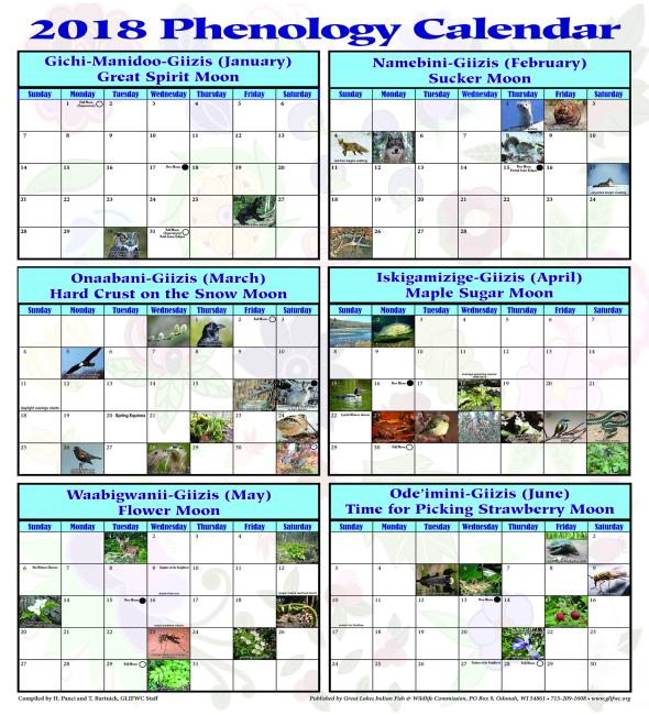 2018 Phenology Calendar Cover