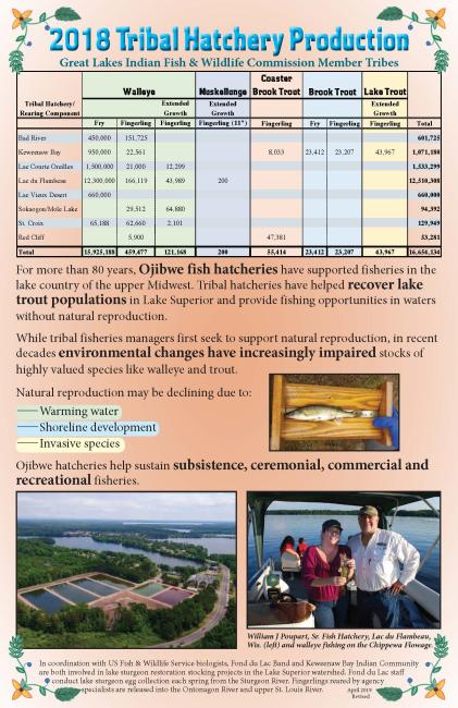 2018 Niibin (Summer) Supplement Mazina'igan Cover