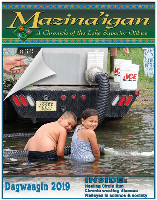 2019 Dagwaagin (Fall) Mazina'igan Cover