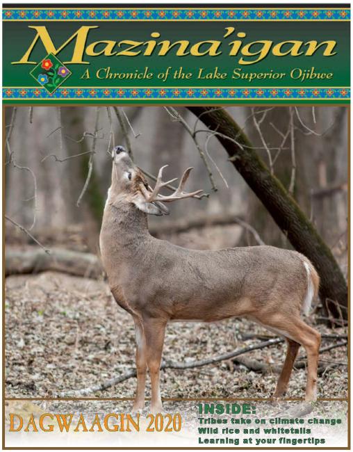 2020 Dagwaagin (Fall) Mazina'igan Cover