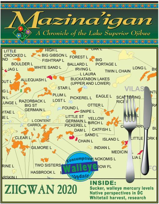 2020 Ziigwan(Spring) Mazina'igan Cover