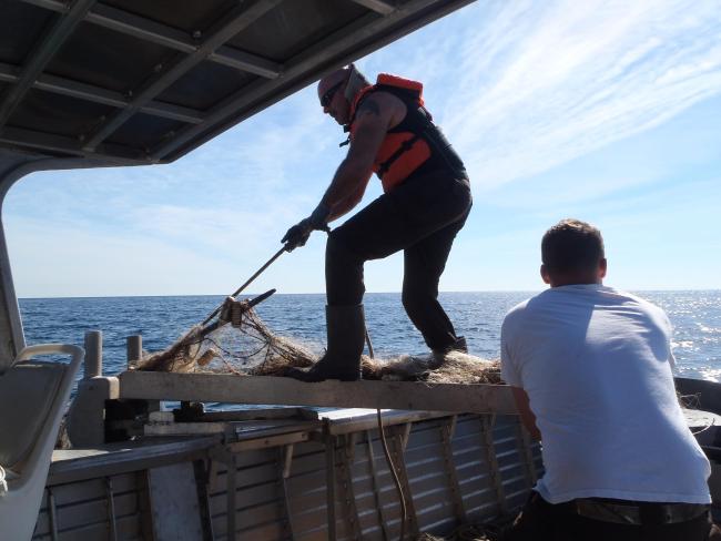 pulling up a ghost net