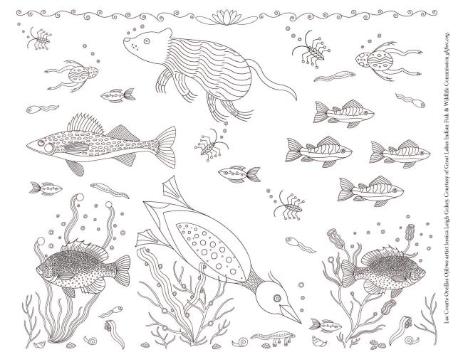 mino-wiiji'idiwin coloring page