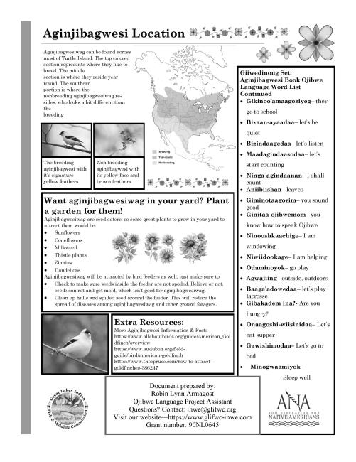 Goldfinch pg 2