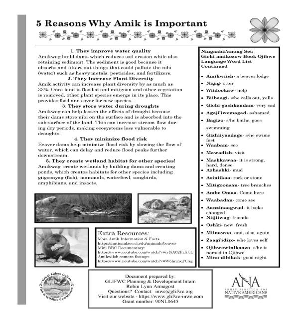 Gichi-amikozow pg 2
