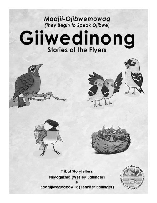 Giiwedinong color book