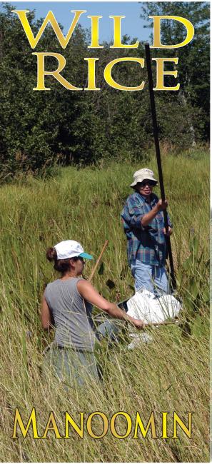 Wild Rice brochure