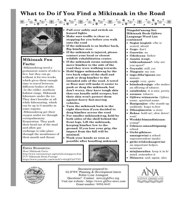 Mikinaak pg 2