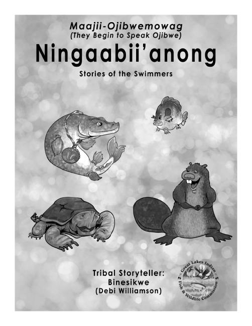 Ningaabii'anong color book
