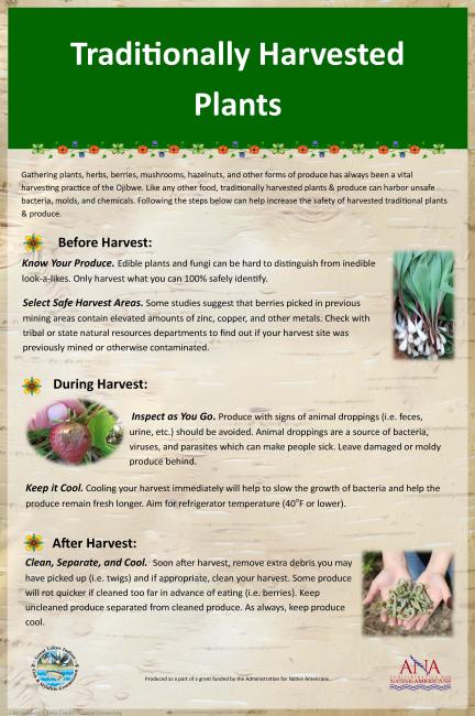 Traditionally Harvested Plants poster