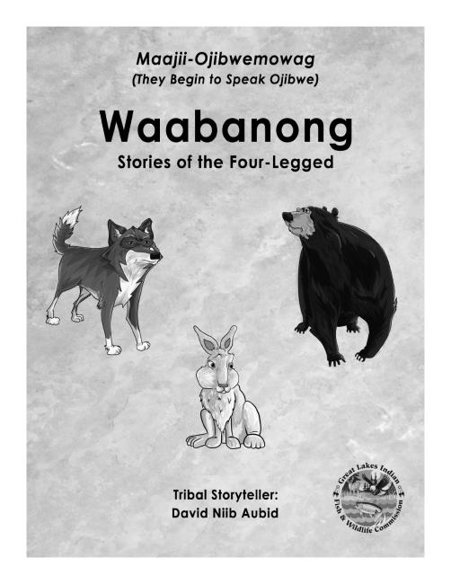 Waabanong Color Book