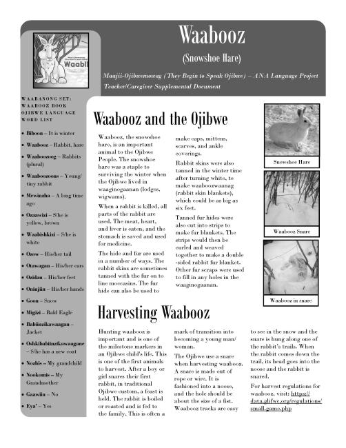 Waabooz Supplemental pg 1
