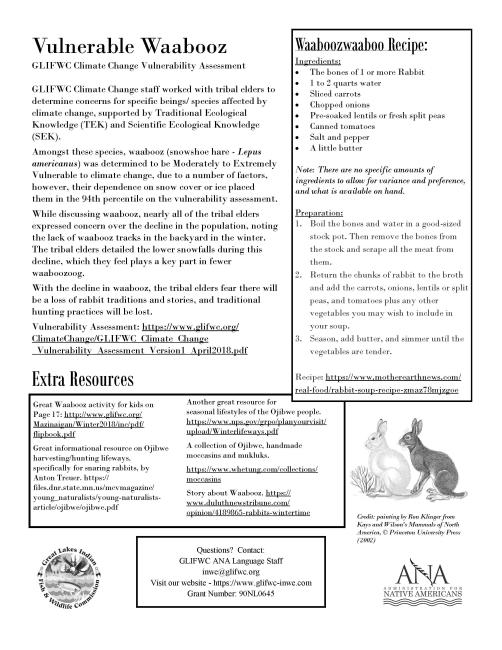 Waabooz supplemental pg 2