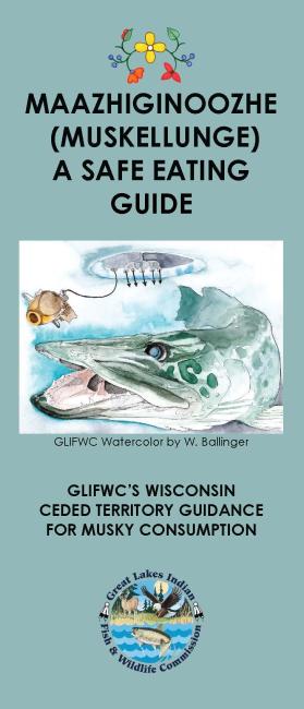 Safe Eating Guide to mercury in Muskellunge