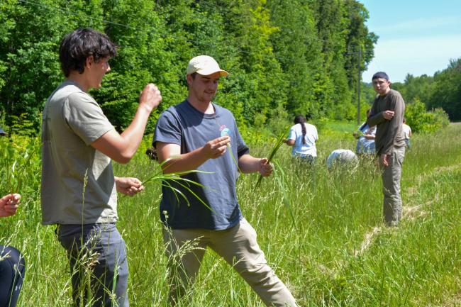 2024 GLIFWC interns gathering sweetgrass