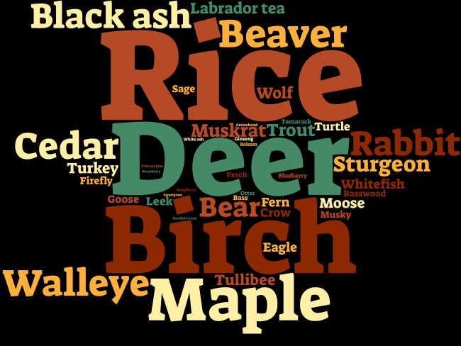 Environmental Science Word Cloud