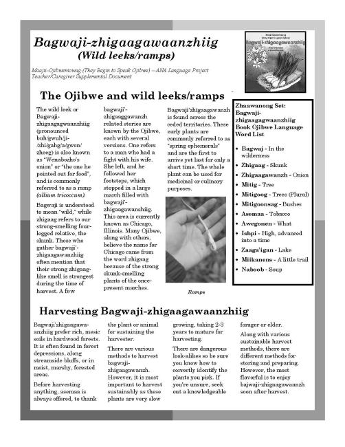 plants pg 3
