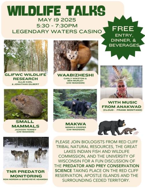 Wildlife Talks 2025 flyer