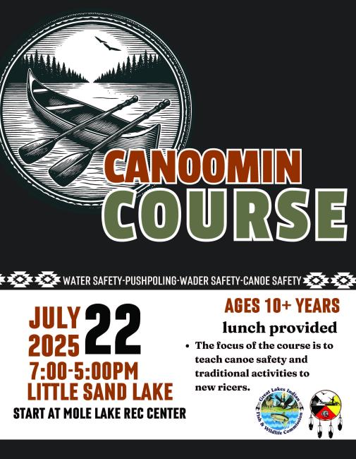 Camoomin flyer