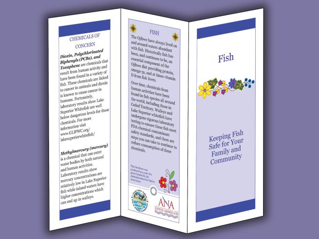 Fish brochure image