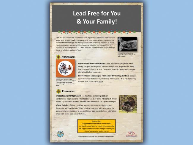 Lead poster image