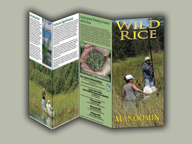 Manoomin brochure image