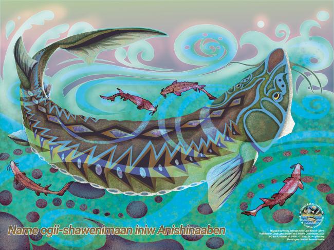 poster image