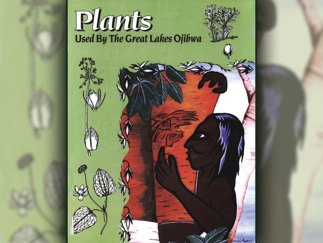 Plants Used by the Great Lakes Ojibwe cover