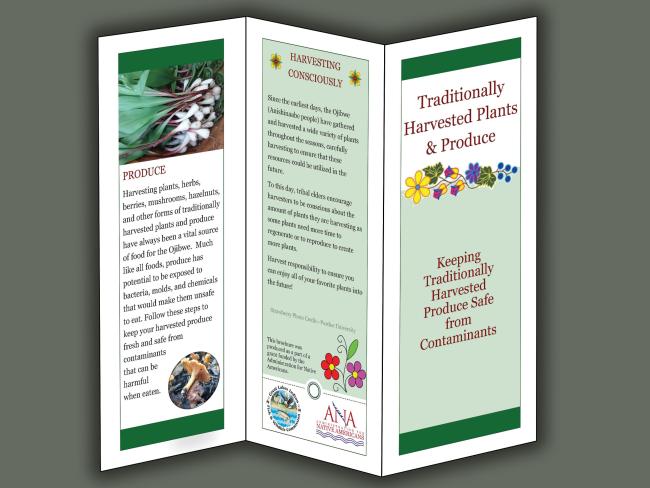 produce brochure image