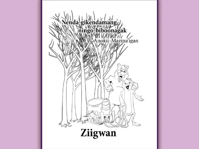 Ziigwan Workbook cover