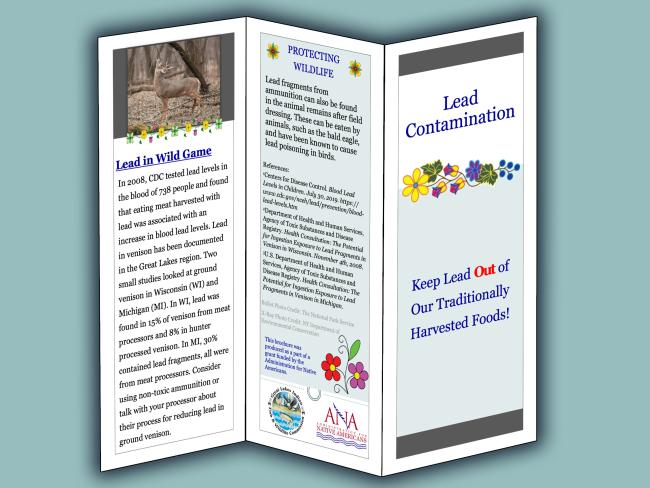 lead brochure image