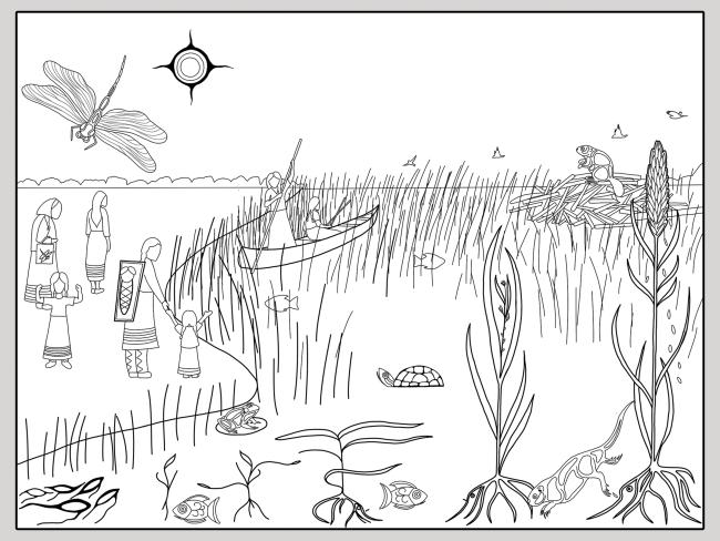 Manoomin poster coloring page image
