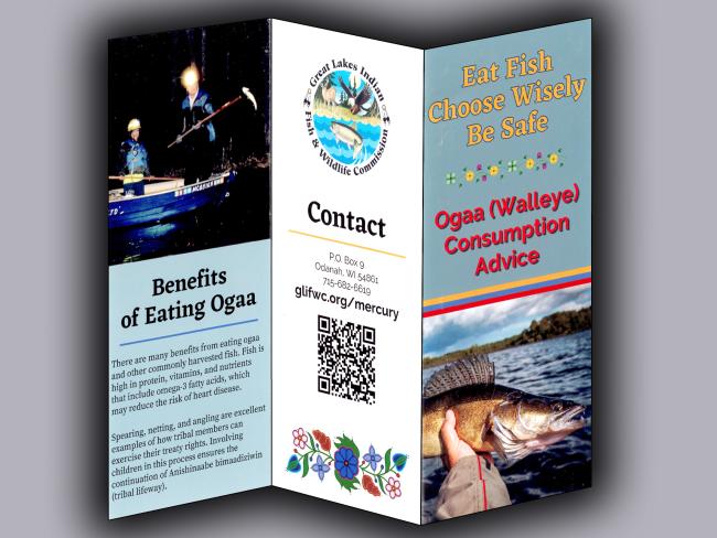 Ogaa Brochure image